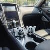 Animal Model Panda Sculpture Ornament Creative Desktop Office Decoration Car Decor Collectible Figurines Car Dashboard Ornament