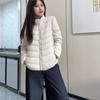 Simple and fashionable down jacket liner women's stand-up collar thin down jacket slim short down jacket duck down