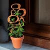 Tre Plantebrakett Bladform Espalier Klatreplante Støttestativ Enkel Installasjon Multifunksjonell Planteholder