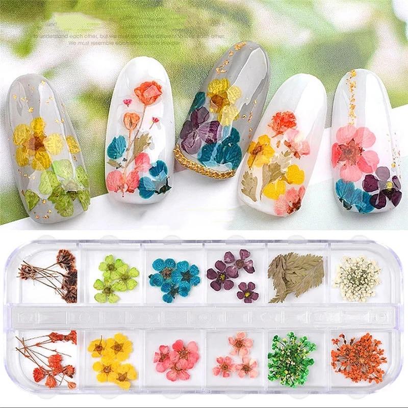 1Box Dried Flowers Dry Plants for Rsein Molds Fillings Epoxy Resin Pendant Tweezers Jewelry Making Craft DIY Nail Art Decoration