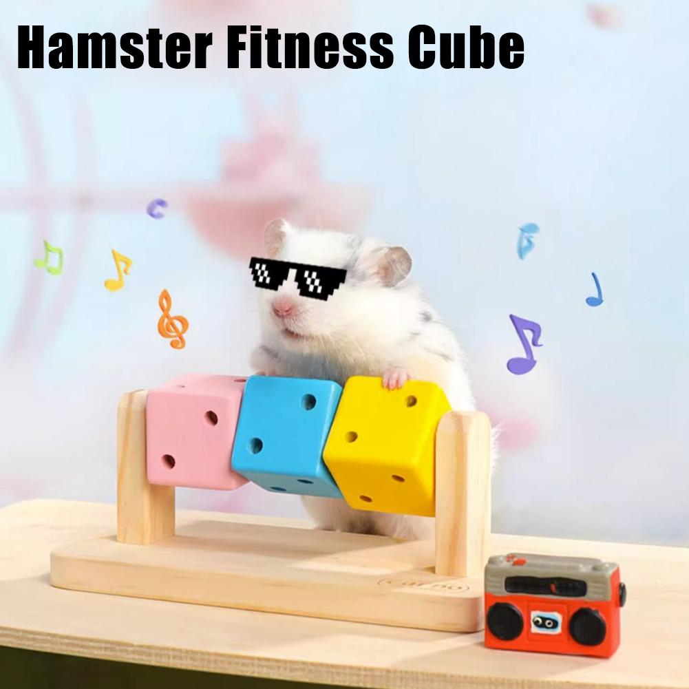 Hamster Fitness Cube Colorful Multi Faceted Activity Stress Relieving And Anti Depressant Toys For Hamster Sports