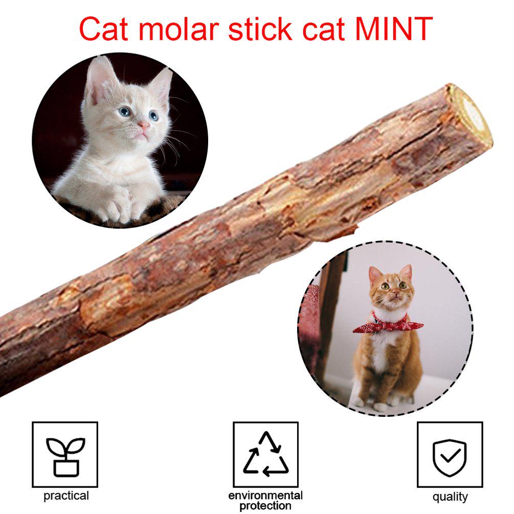 cat mint sticks