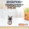 Felimoa Cat Figurines, Troubled Cats, Mini Figurines, Cat Objects, Set of 9