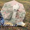 1PC Bird flowerAutomatic Open/Close Umbrella with Windproof, 8-Rib Sturdy Canopy, Durable Ribs, Fashionable Design1204A