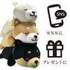 Traveling Mameshiba Body Body Soft and Cute Dog Shiba Mameshiba Pillow, Cushion, Pillow, Fluffy, Figurine, Inu, (White, Mameko)