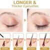 3X Grande Lash Md Eyelashes Eyebrow Growth Essence Longer Thicker Serum Enhancer for Women