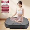 Home Full Body Vibration Platform Machine