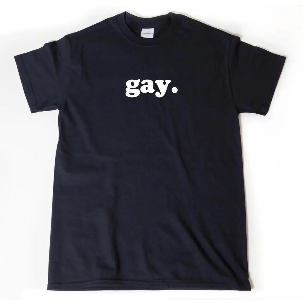Gay Shirt Gay T-shirt Funny Gay Tee Shirt LGBT Shirt Pride Shirt