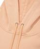 Small Authentic Hoodie Salmon