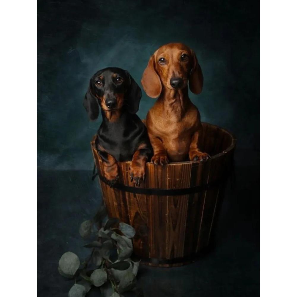 Dachshund 5D Diamond Painting Kits Cozy Cute Pet Dog Art Mosaic Portrait DIY Diamond Embroidery Room Christmas Home Decor Craft