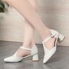 Fashion Baotou Sandals For Women In Summer 5cm Pointed Toe Woven Hollow Shallow Mouth T-Buckle Thick Heel Commuting Single Shoes Fashion