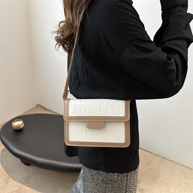 Chic Street Style Pu Leather Crossbody Bag For Women Available In Modern Colors