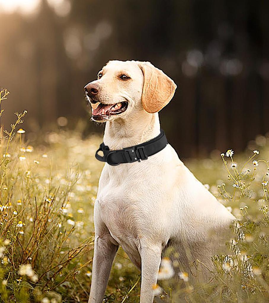 Tactical Anti-Burst Elastic Dog Collar & Leash for Medium To Large Dogs