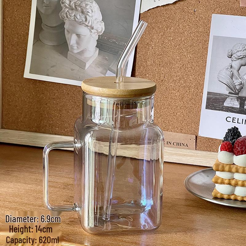 Floral Glass Straw Cup with Square Lid & Handle - High Borosilicate Transparent Design