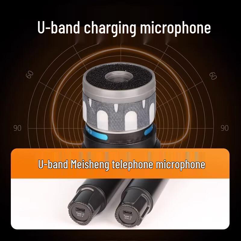 Sansui A51 Outdoor Karaoke System with Display