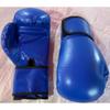 Zhong Aoliqiang Boxing Training Gloves