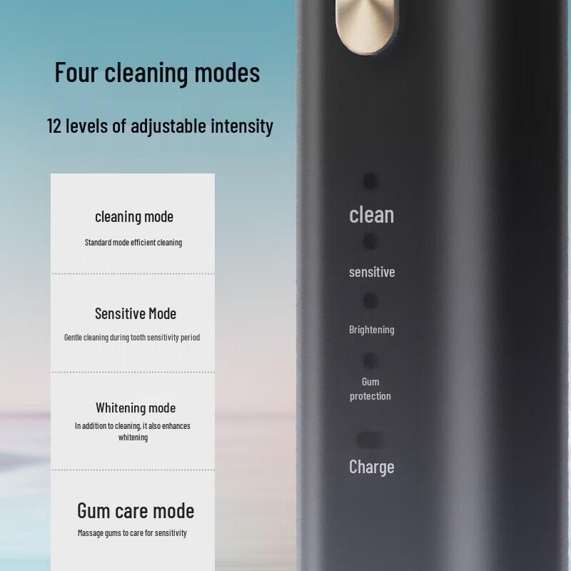 Yingqu T502 Sonic Electric Toothbrush CN plug (adapter included)