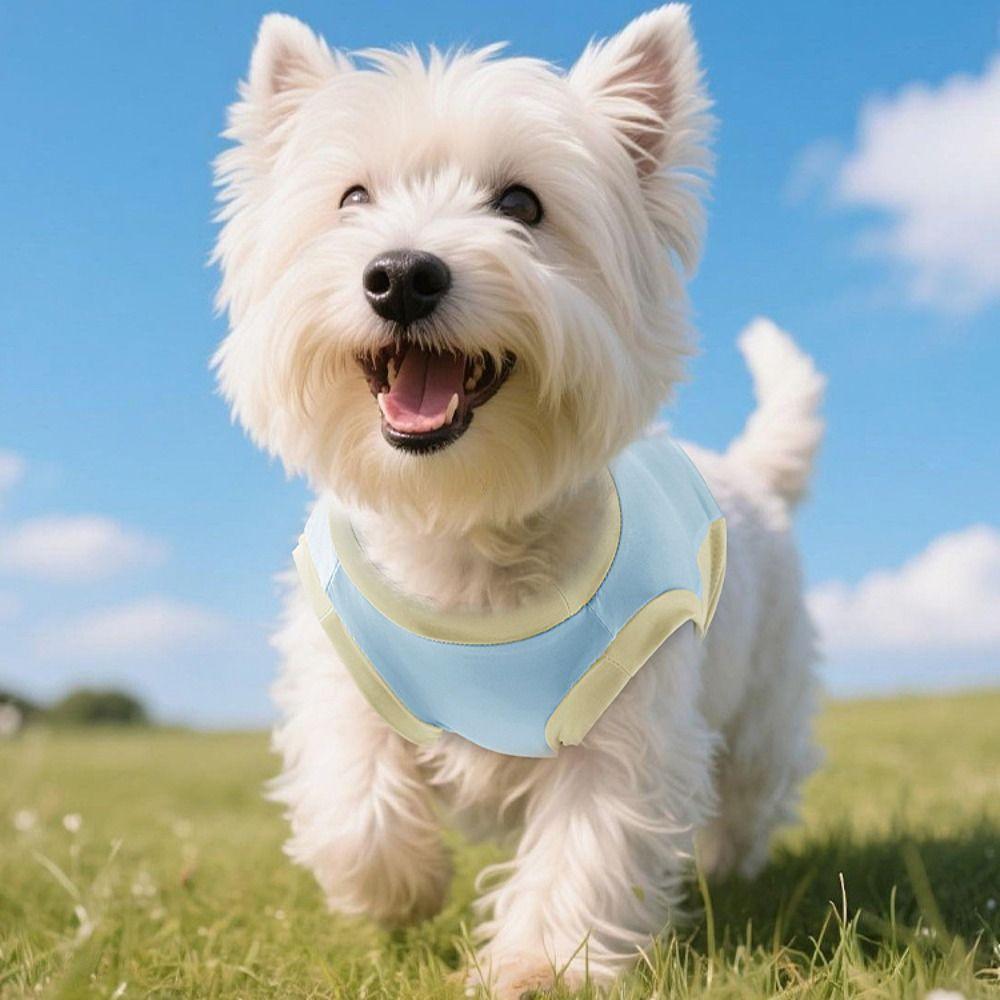 Thin Pet Sunscreen Clothes Sleeveless Cat Ice Silk Shirt Comfortable Dog Cooling Vest  Summer