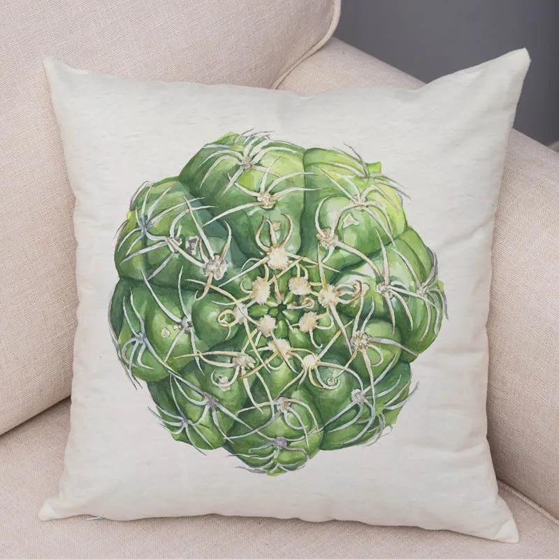 Watercolor Succulents Decorative Pillowcase Office Living Room Car Ornaments Home Pillowcase