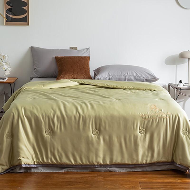 CHANSI Camellia Series Summer AC Quilt