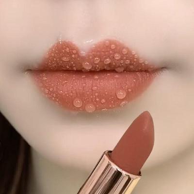 Douyin beliebter langanhaltender Antihaft-Lipgloss - Zimt-Milchtee-Farbton