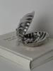 Luxurious French Retro 304 Stainless Steel Shell Butter Box Jewelry Storage Box Antique Food Box