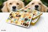 Kancharo Tarot Card Set Tarot 78pcs Labradorable Includes Japanese Tarot Card Instructions Pouch 78-Card [Labradorable (Dog Tarot) Tarot] &