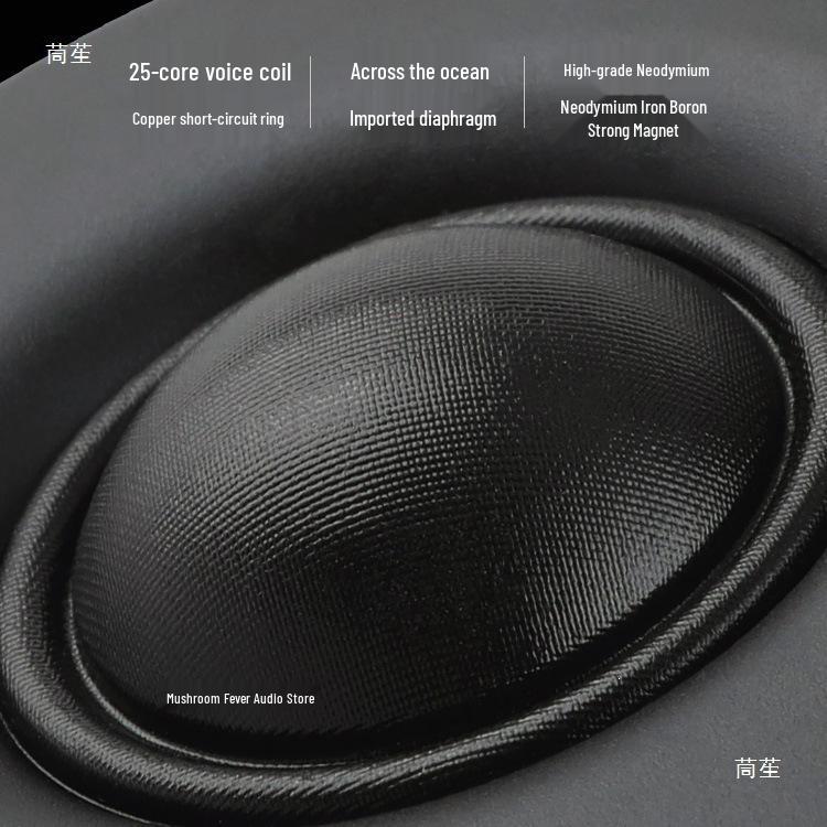 

Ququan 2.5 & 3 Tweeter Speaker Unit for Desktop, Car Audio, DIY High-Frequency Speakers Ququan 2.5-inch Tweeter 4 Ohm Single, Panel 66mm