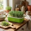 2Pcs High Ventilation Germination Tray Double Layer Grow Nursery Plate  Household Cultivation