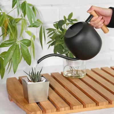 1200ML Watering Can Stainless Steel Long Spout Large Capacity Wooden Handle Modern Indoor Outdoor Plants Flowers Watering Pot Gardening Supplies