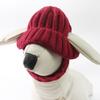 Soft Knit Dog Beanie with Ear Holes Knitted Pet Hat Elastic Winter Warmer Dog Hat Ear-Exposing Headgear for Small Medium Dogs