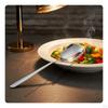 Stainless Steel Serving Spoon Professional Mirror Polished Kitchen Utensil for Caterers, Family