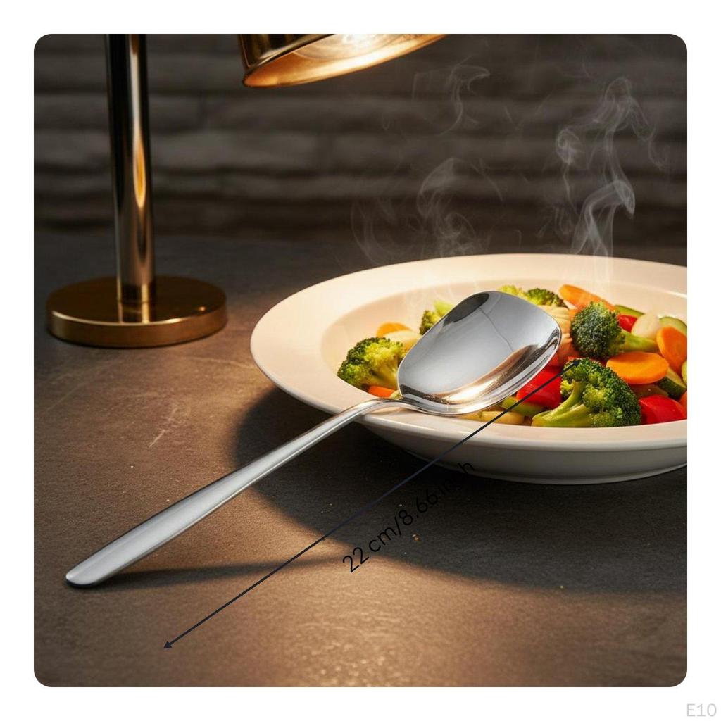 Stainless Steel Serving Spoon Professional Mirror Polished Kitchen Utensil for Caterers, Family
