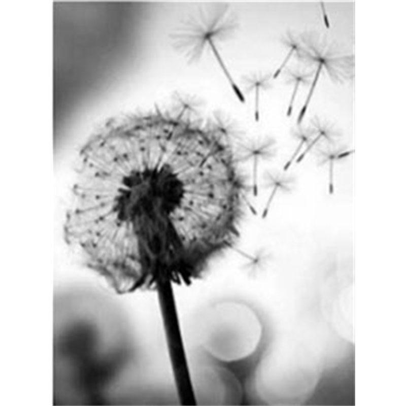 Diamantmalerei zum Selbermachen, Schwarz-Weiß-Pusteblume, Kreuzstich-Set, Mosaikkunst, Diamantmalerei, voller Kreis/Quadrat-Diamant, Heimdekoration