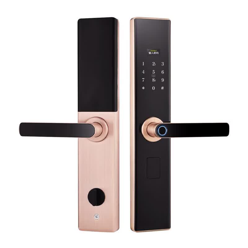 Realand Q6 Fingerprint Smart Door Lock CN plug (adapter included)