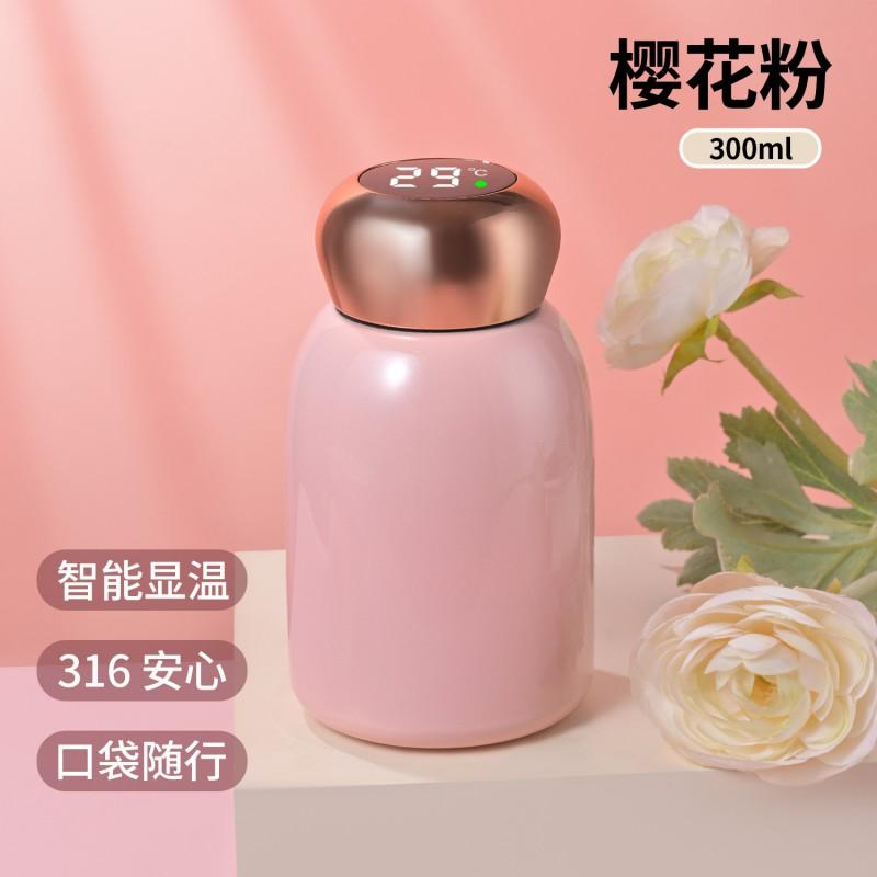 Stainless Steel Vacuum Insulated Travel Mug 300ml Portable Mini Cup Women Men Kids Office Outdoor