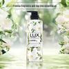 Little Arrow Anti-Dandruff Shampoo & Lux Freesia Shower Gel Set