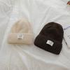 Korean Dopamine Simple Letter Wool Hat for Women Thickened Warm Knitted Hat Letter Labeling for Men and Women