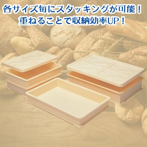 Sanko Plastic (SankoPlastic) Made In Japan Food Container, Foodtainer with Lid, No. 2, Clear, 552081