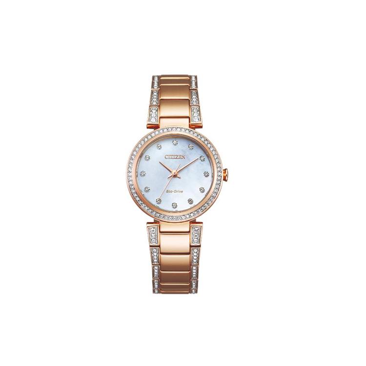CITIZEN Ecology Drive Collection Light Powered Quartz Movement Stainless Steel Strap Watch EM0843-51D