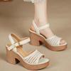 Women's Summer New High Heel Peep Toe Sandals Thick Sole Non Slip Leather Hollow Out Block Heel Buckle Strap Modern Sandals