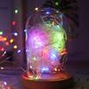 LED Lighting, Battery-powered Wires, Christmas Tree Lights, 20 LEDs, 2m, Cold, Cold