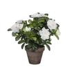 Mica Decorations Plante Artificielle Azalea - 20x20x27 Cm - Polyester - Blanc