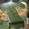 Jungle Wildlife Tiger River Sheer Curtains for Living Room Decoration Window Curtains for Kitchen Tulle Voile Organza Curtains