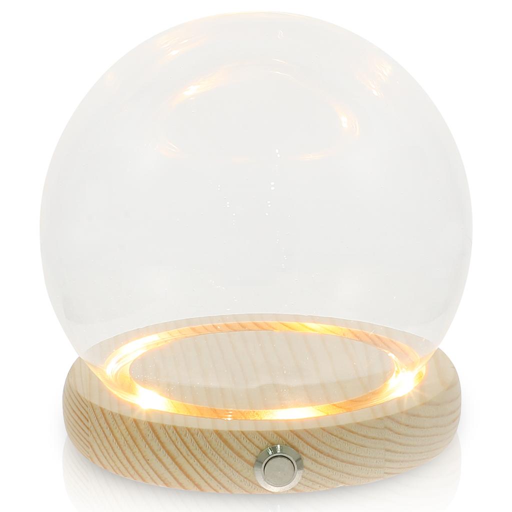 Hand-Made Glass Cover Dome LED Decor Plant with Glowing Base Cloche Wooden Preserved Flower Display Case Decorate Toddler