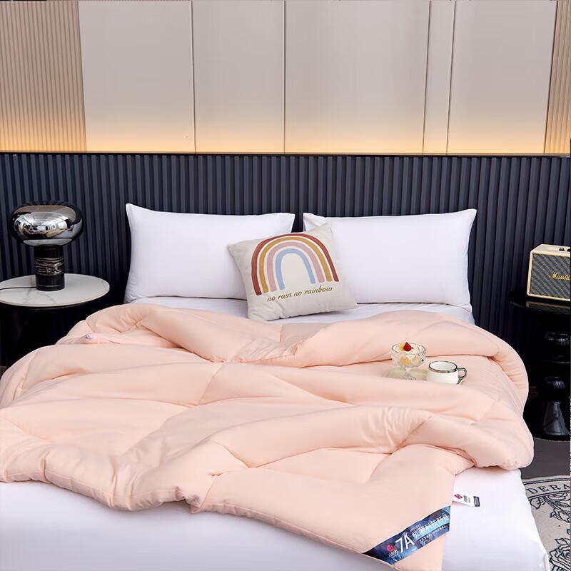 Jieliya Grace Cloud-Feel Antibacterial Warm Core Winter Quilt