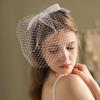 Pillbox Veil Fascinator Hat Tea Party Headwear Veil for Women Lady Black/White