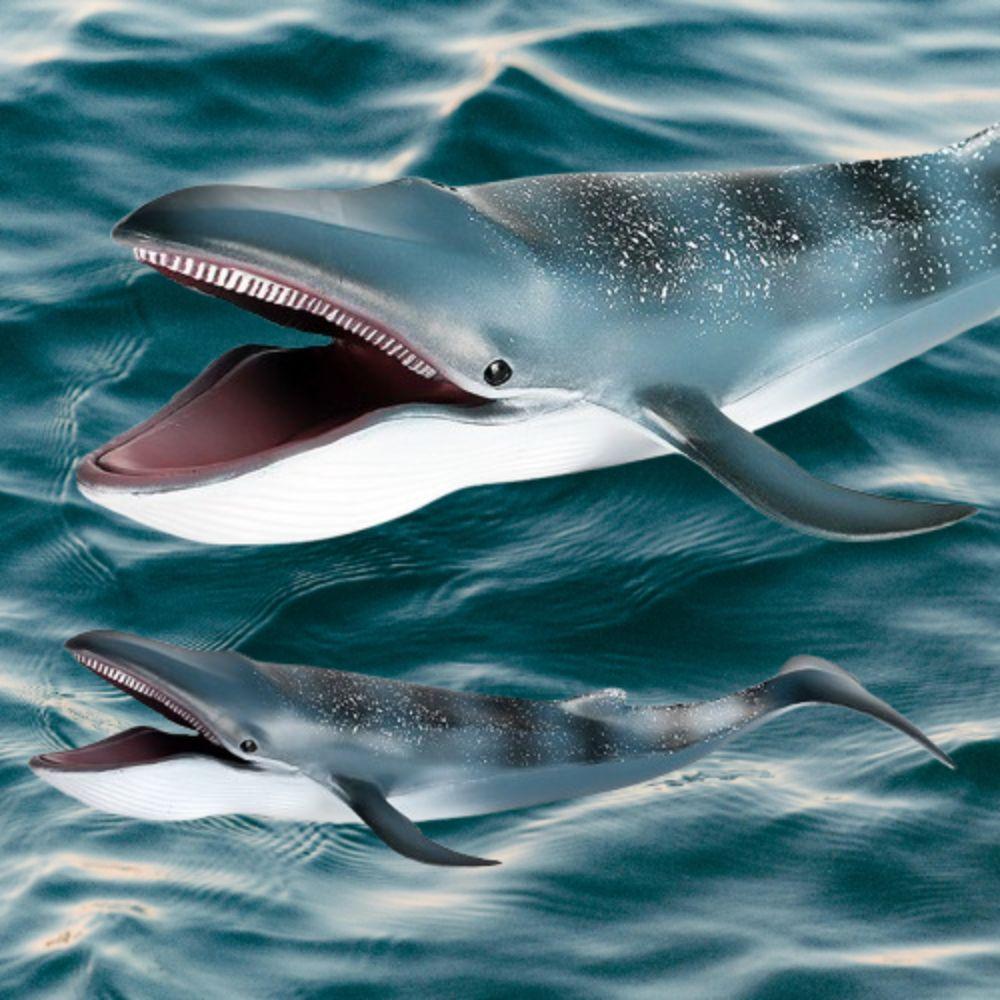Wild Blue Whale Action Figure Toy Large Ocean Animal Statue  For Kids Children Birthday Gifts