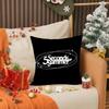 Rock 5 Seconds of Summer Band Pillow Case Anti-dustmite Pillow Invisible zipper silky short plush Sofa cushion cover