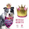 British Plaid Pet Birthday Hat and Bib Set for Dogs and Cats